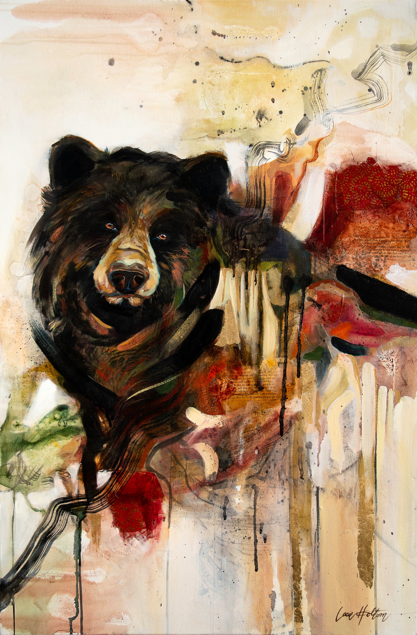 Black Bear | Print